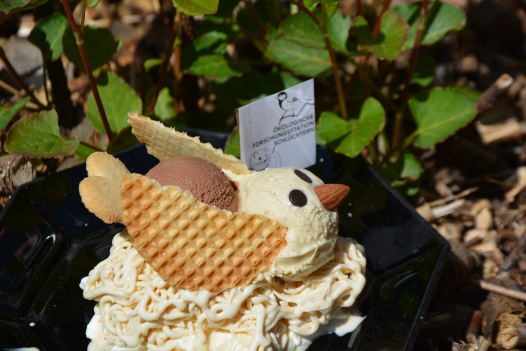 Meiseneisbecher des Eiscafé Ca'D'Oro