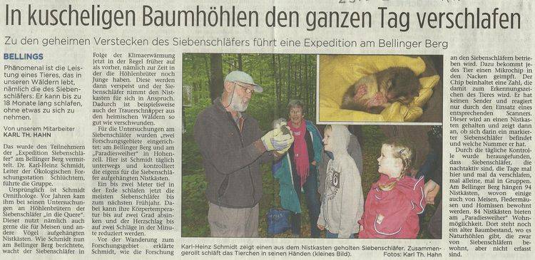 Presseartikel In kuscheligen Baumhöhlen den ganzen Tag verschlafen - Zu den geheimen Verstecken des Siebenschläfers führt eine Expedition in den Bellinger Berg